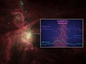 Oxygen in Orion